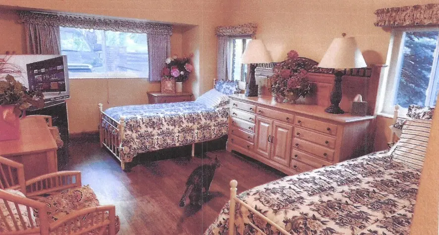Golden Life interior