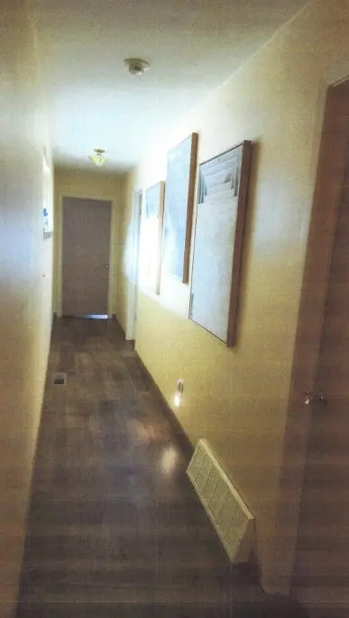 Golden Life interior